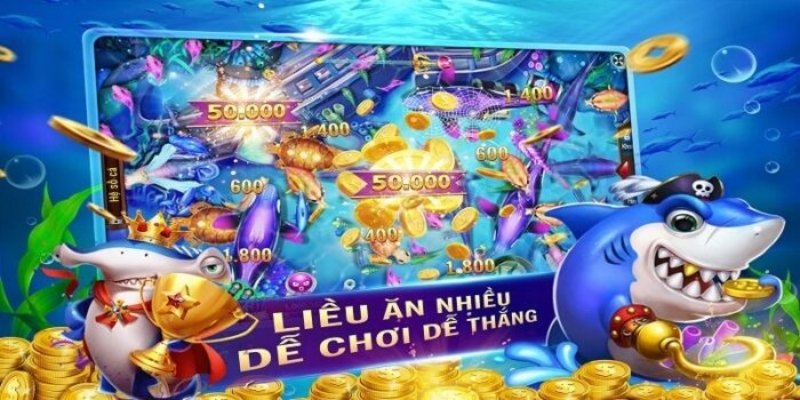 Vua Hải Tặc Game Bắn Cá : Giải Trí Cực Đỉnh Mỗi Ngày 3 Sự trải nghiệm dành cho người dùng luôn là điều ưu tiên